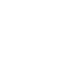 ce logo San Marcos